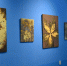Как это сделано? В Новороссийске открылась выставка фотографических картин - Газета Новороссийский рабочий