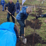 В Рудничном парке и Введенке высадили сотни деревьев - LipetskNews.Ru