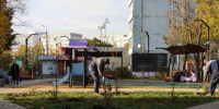 В Новомосковске продолжают высаживать деревья и кустарники - ИА Новомосковск Сегодня