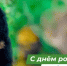 20 октября – день рождения Хабаровского края - КнАГУ