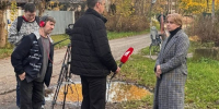 РУБЯТ АЛЛЕЮ, КОТОРУЮ САЖАЛИ ВЕТЕРАНЫ - Экооборона Московской области