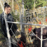 Нажмите для увеличения 0e4ce0e6-467a-4bf4-b0c4-37996b935e27.jpg - Сельскохозяйственная академия