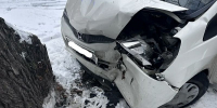 В Бурятии пенсионер на «Хонде» врезался в дерево - Infpol.Ru