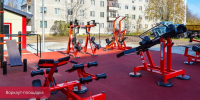 Воркаут - Новый Компаньон