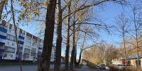8 градусов тепла ожидается в Бугульме 20 октября - Бугульминская газета