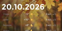 Bazaart_2026-10-20_015125 - ЗА Новомосковск