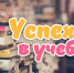 445 - Департамент образования