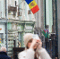В Молдавии раскрыли судьбу украинского уклониста, сбежавшего от украинских пограничников - Комсомольская Правда
