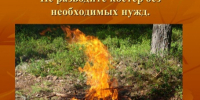 Огонь с характером: как подружиться с пламенем и не нарушить границы. - Город Можга
