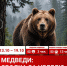 Красраб. Сибирский новостной портал - Газета Красноярский рабочий