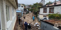 фото: стоп-кадр видео с канала в МАХ Правительства региона - НИА Крым