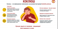 Роспотребнадзор информирует о профилактике коклюша - Варнавинский муниципальный округ