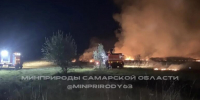 В Безенчукском лесничестве произошел пожар - SamaraGIS.Ru