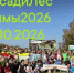 Волонтеров приглашают на акцию #ПосадилесЧишмы2026 - Общественная палата РБ