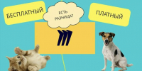 Почему нельзя получить обследование от платного врача в государственной поликлинике бесплатно? - Детская поликлиника №3