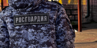 Трепещите, нарушители! - Tvoy-Bor.Ru