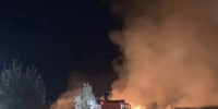 В Самарской области спасли хвойники от ландшафтного огня - Комсомольская Правда Самара