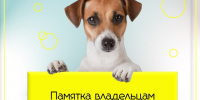 Уважаемые владельцы домашних животных!. - Каргапольский муниципальный округ