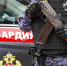 Росгвардейцы пресекли попытку скрыться от правоохранителей в Саках - КрымИнформ