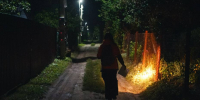 В Воронежской области за неделю пропали 29 человек - РИА Воронеж