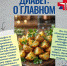 1f95bc04-d2f6-437d-bdfd-e7aedf3196ca.jpg - ГАУЗ КО ОКЦОЗШ