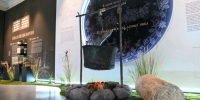 Выставка о народных традициях пивоварения открылась в Петербурге - ГАZЕТА.СПб