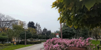 Фото: НИА Кубань - НИА-Кубань