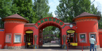 Новые жители появились в нижегородском зоопарке «Лимпопо» - Время Н