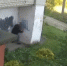 В Ярославле вандалы разрисовали фасад дома и остановочный комплекс - ГТРК