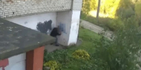 В Ярославле вандалы разрисовали фасад дома и остановочный комплекс - ГТРК