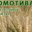 Порядок предоставления участникам СВО гранта «Агромотиватор» - Администрация г. Ейска