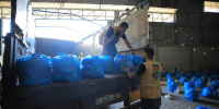 300 палестинских семей получили продуктовую помощь от фонда Кадырова - ИА Грозный-информ