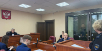 Черняховским городским судом арестован 34-летний местный житель, который обвиняется в незаконной вырубке леса - New-Chernyahovsk.Ru