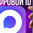 Описание сервиса Цифрового ID - Город Нерюнгри