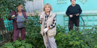 На улице Краснодарской высадили розы при содействии депутата Максима Карташова - Городская Дума