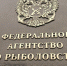 Доход от крабовых квот в 2025 году - свыше 46,6 миллиардов - SeverPost.ru