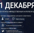 Уплата налогов до 1 декабря - Министерство лесного хозяйства и природопользования