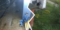 В Ярославле ищут вандалов, разрисовавших дом и остановку - YarNews.Ru