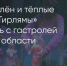 Поделитья во ВКонтакте - Братская Студия Телевидения