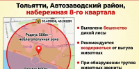 На набережной Тольятти выявлен очаг бешенства - TLT.Ru