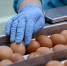 Кабардино-Балкария в числе лучших по динамике производства сельхозпродукции в СКФО - Минсельхоз КБР
