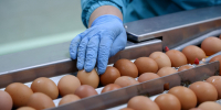 Кабардино-Балкария в числе лучших по динамике производства сельхозпродукции в СКФО - Минсельхоз КБР