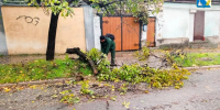 Севастопольские службы устраняют последствия непогоды: в систему-112 поступило 1012 обращений></div>
	<div class= - Вести.Севастополь