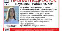 В Ярославле ищут 15-летнего подростка - Ярославский регион