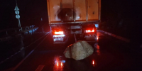 Потоки воды вынесли крупные валуны на автодорогу Ялта – Севастополь - Комсомольская правда