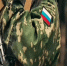 Служба в Вооружённых Силах: долг, сила и надёжная опора страны. - Юргамышский муниципальный округ