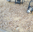 Саратовчанка рассказала, что детская площадка у центра народного творчества имени Руслановой завалена мусором и опавшей листвой - ИА Версия-Саратов