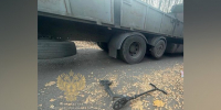 Уголовное дело возбудили после гибели девочки на самокате в ДТП в Долгопрудном - M24.Ru