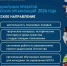 25 проектов патриотической направленности стали победителями областного конкурса грантов - Известия Саратов