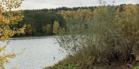 Картинка - Regions.Ru